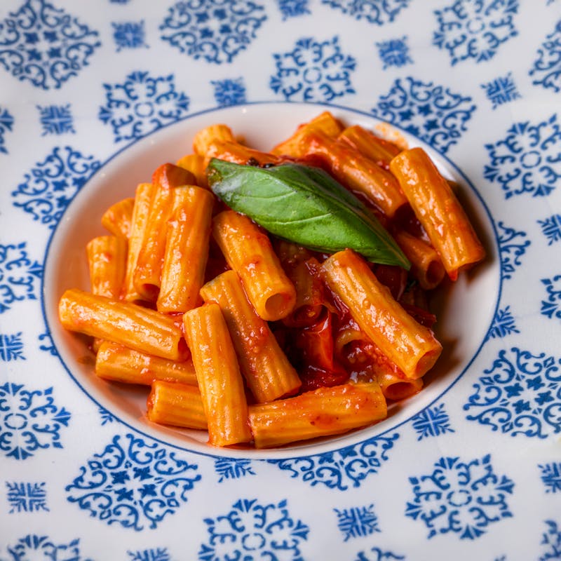 Rigatoni pasta with tomato sauce